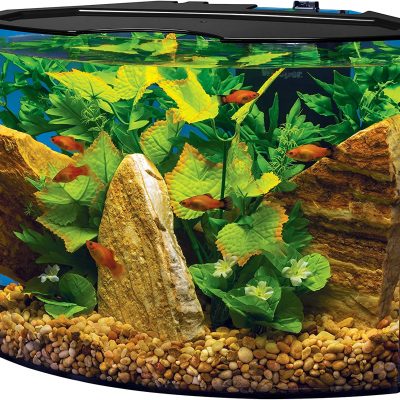 Tetra Crescent Acrylic Aquarium Kit 5 - Gallons